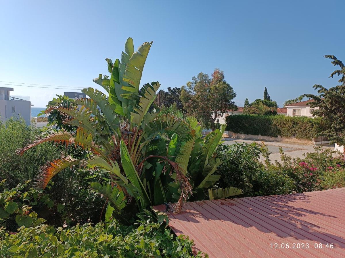 Ferienhaus_Familykrausz ペルボニア エクステリア 写真